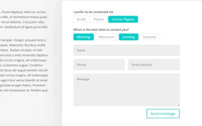 How to turn Divi checkbox and radio inputs into buttons